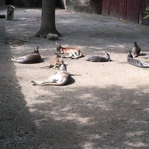 Meet your Posher, Chelsea